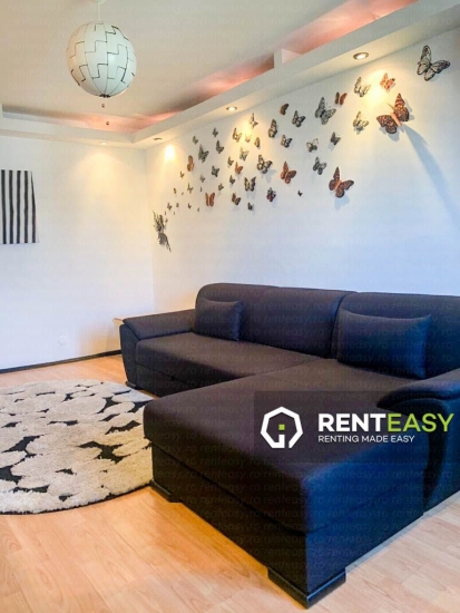 Apartament cu 2 camere de inchiriat situat in zona Podul de Fier 